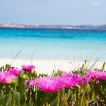 Apartmán Toro's Vi - 4 Guests - 30'porto Cervo & Free Parking *