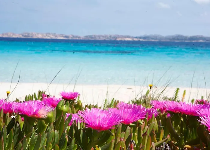 Appartement Toro Flat Vi 15' Palau, 30' Porto Cervo & Free Parking *